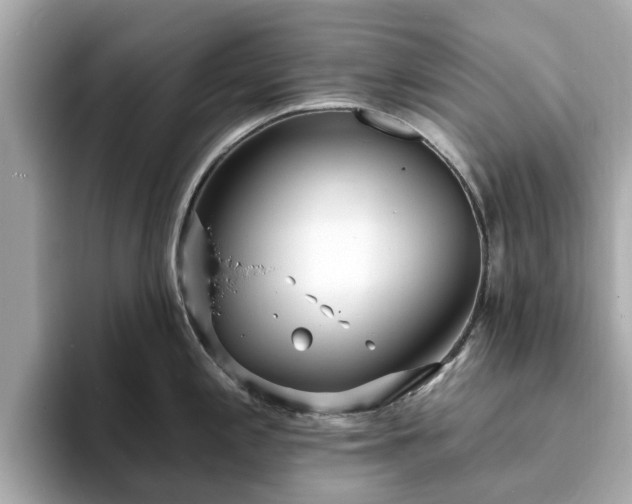 X0000094071197200710261240