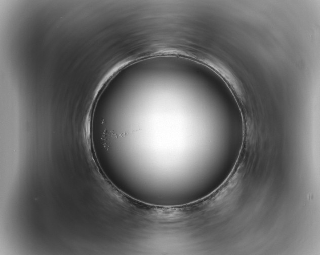 X0000094071198200710261240