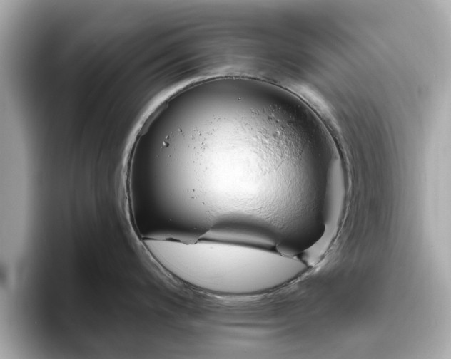 X0000094071200200710261240