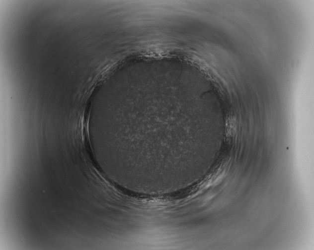 X0000094071202200710261239
