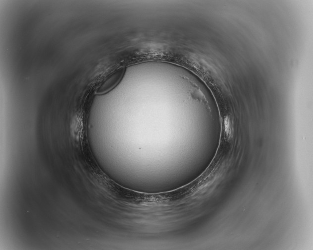 X0000094071203200710261239