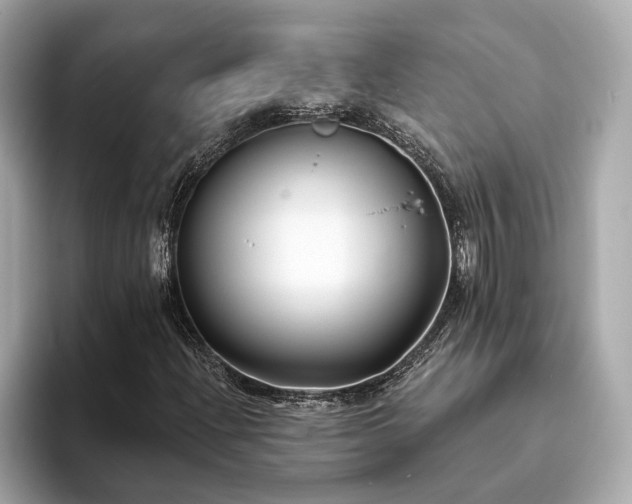 X0000094071204200710261239