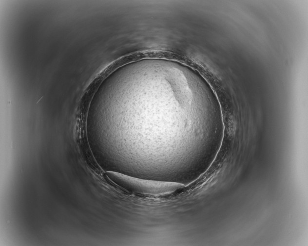 X0000094071208200710261239