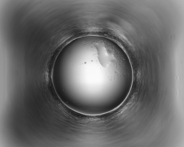 X0000094071209200710261239