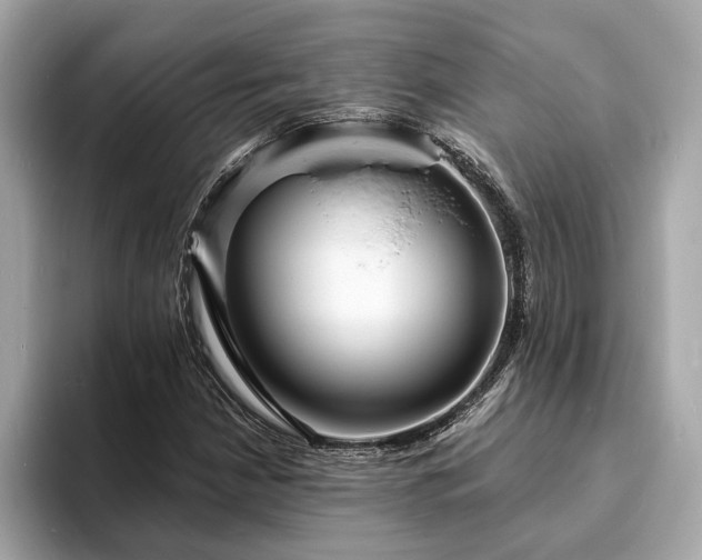 X0000094071210200710261239