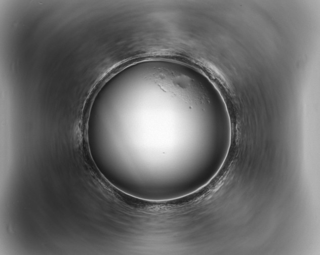 X0000094071212200710261239