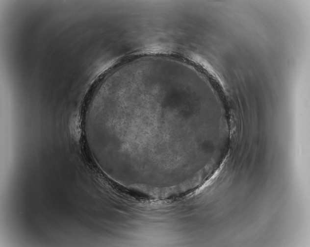 X0000094071213200710261239