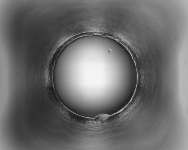 X0000094071215200710261239