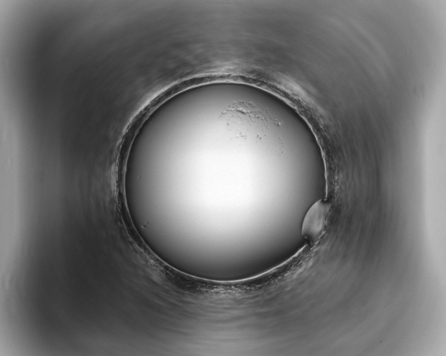 X0000094071216200710261239