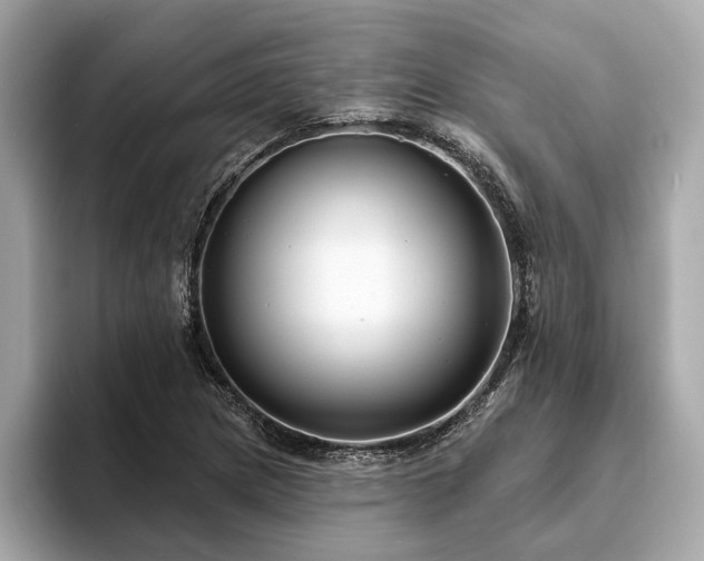 X0000094071217200710261239