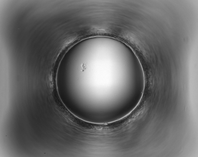 X0000094071218200710261240