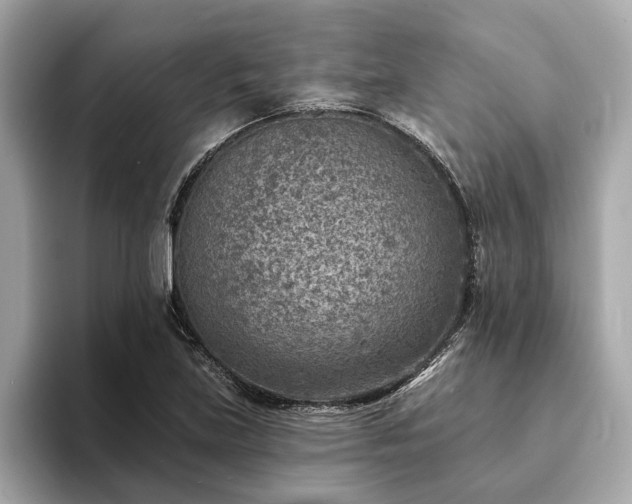 X0000094071219200710261240