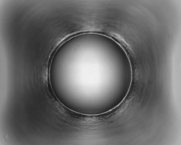 X0000094071220200710261240