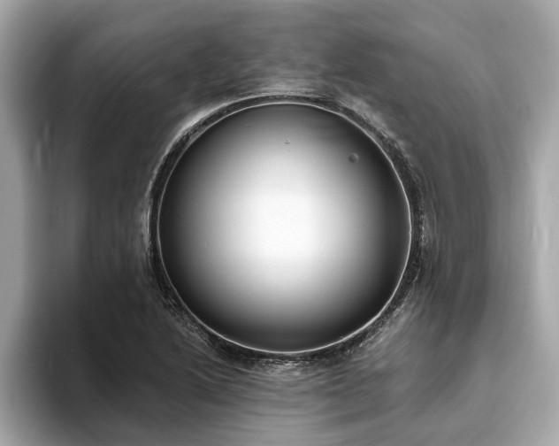 X0000094071222200710261240