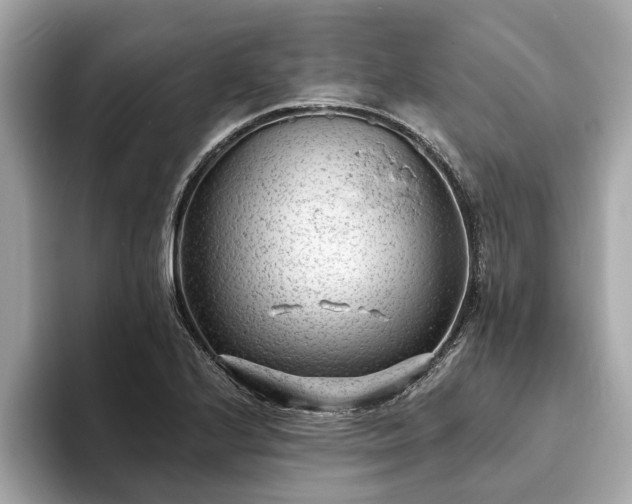 X0000094071224200710261240
