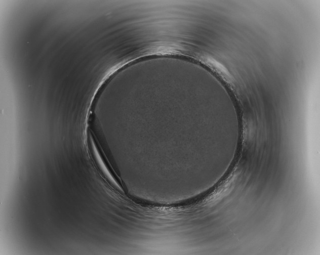 X0000094071226200710261240