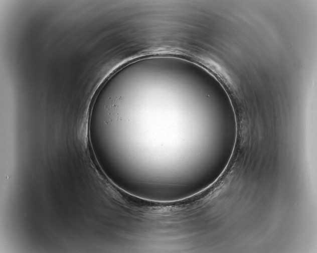 X0000094071228200710261240