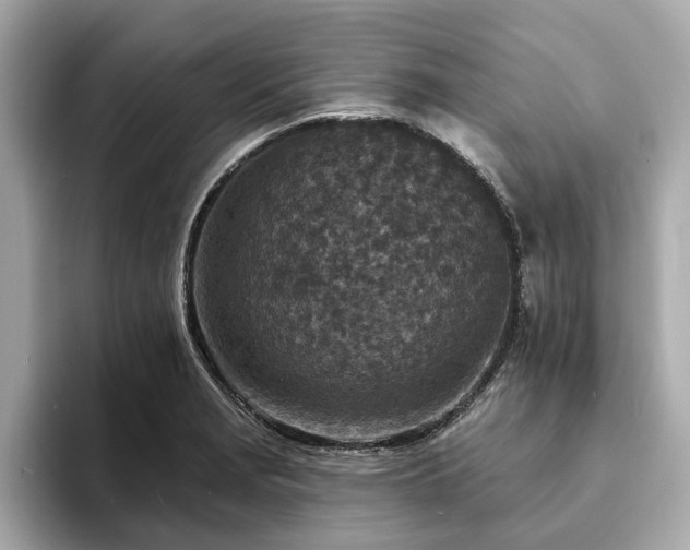 X0000094071229200710261240