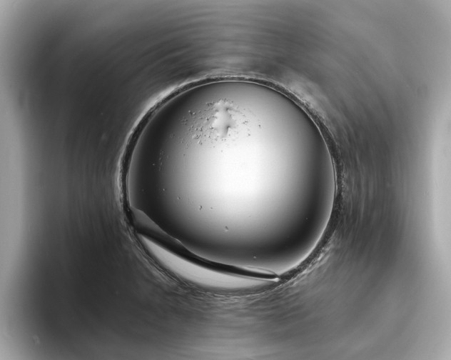 X0000094071230200710261240