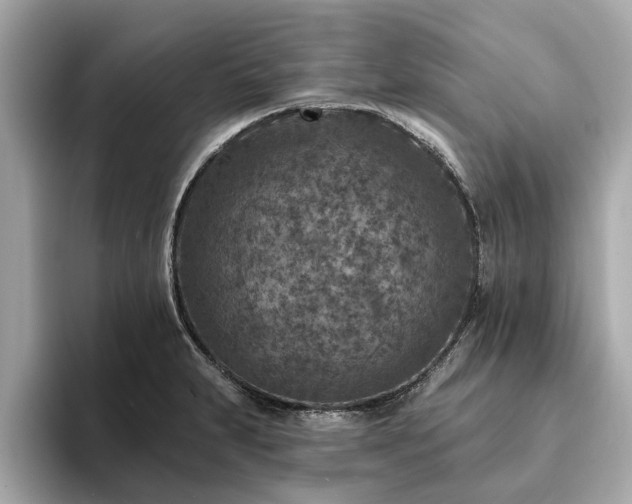X0000094071231200710261240