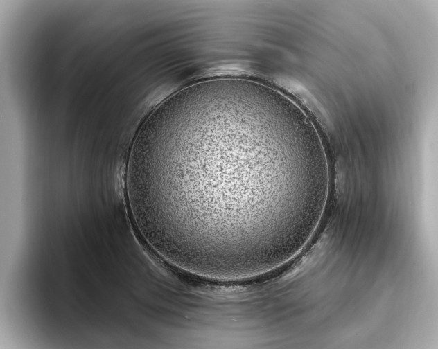 X0000094071233200710261240