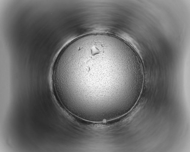 X0000094071235200710261240