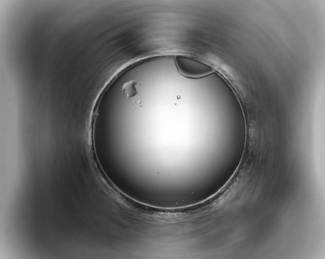X0000094071236200710261240