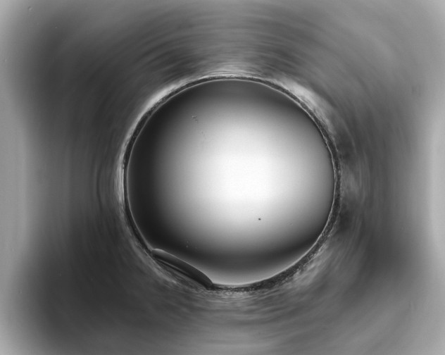X0000094071238200710261240