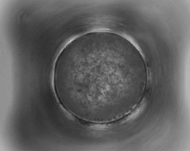 X0000094071245200710261240