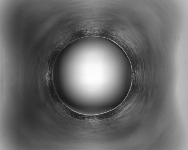 X0000094071250200710261239