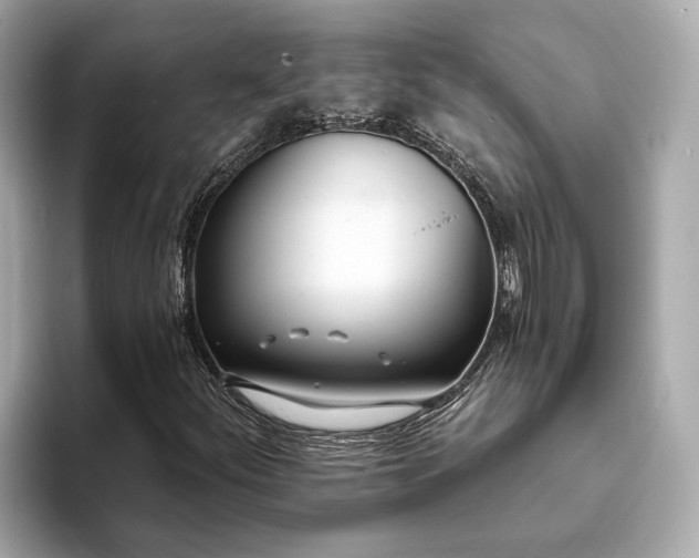 X0000094071252200710261239