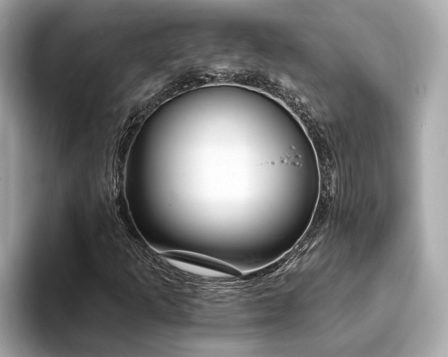 X0000094071253200710261239