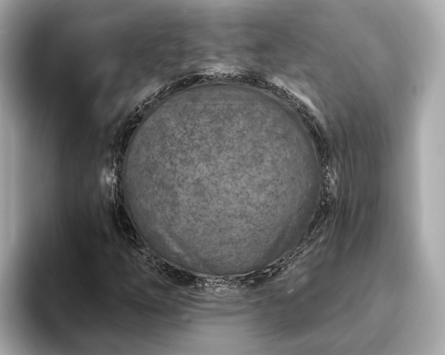 X0000094071254200710261239