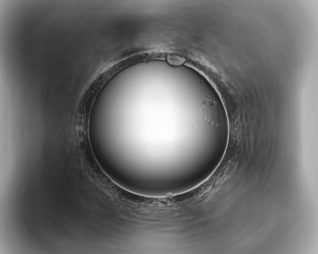 X0000094071255200710261239