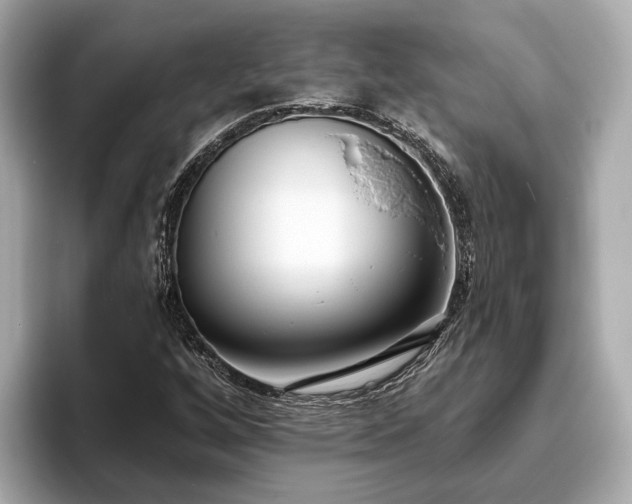 X0000094071256200710261239