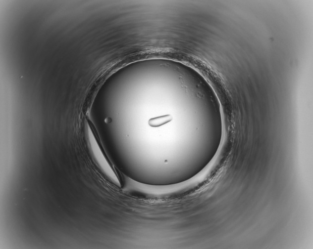 X0000094071257200710261239