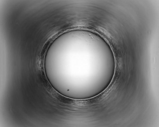 X0000094071258200710261239