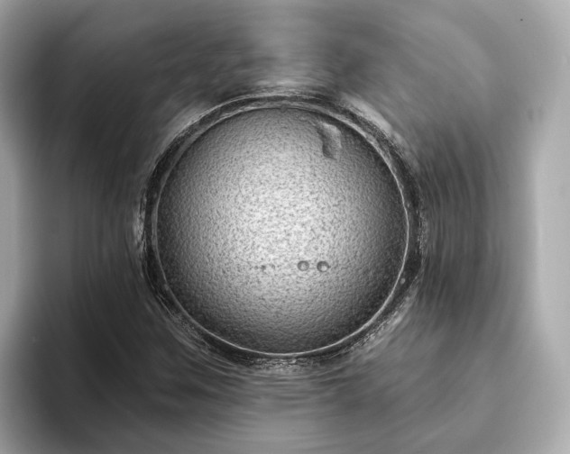 X0000094071259200710261239