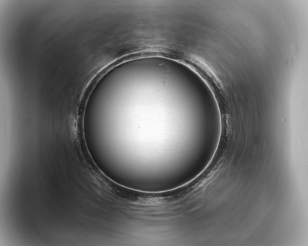 X0000094071260200710261239