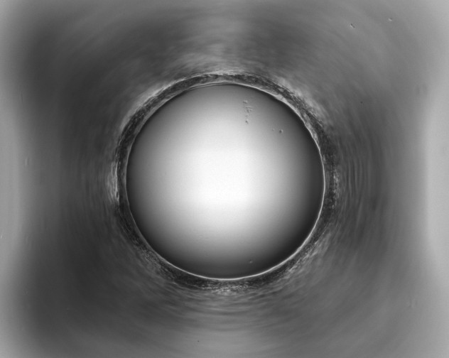 X0000094071262200710261239