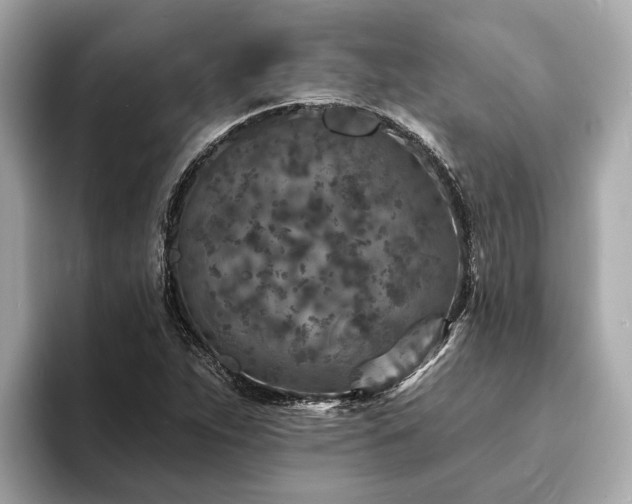 X0000094071263200710261239