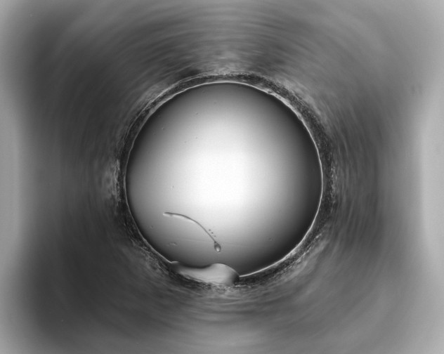 X0000094071265200710261239