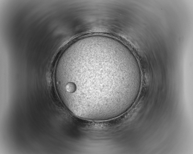 X0000094071266200710261239