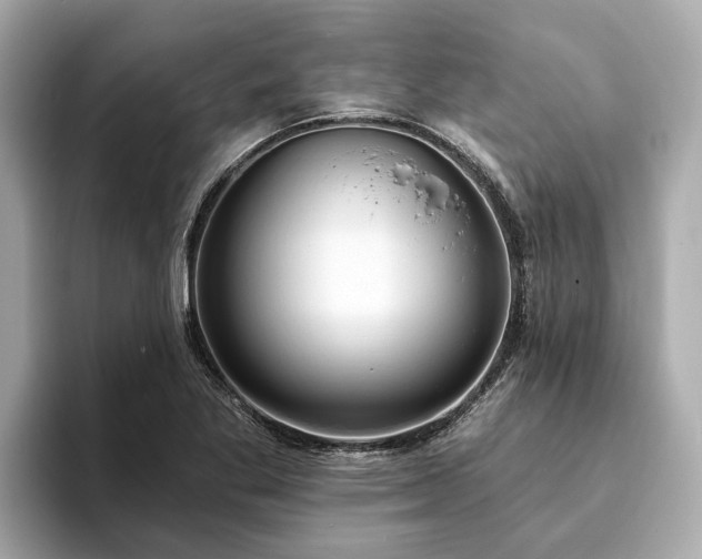 X0000094071269200710261239