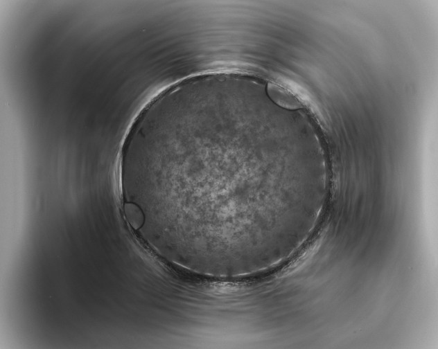 X0000094071275200710261239