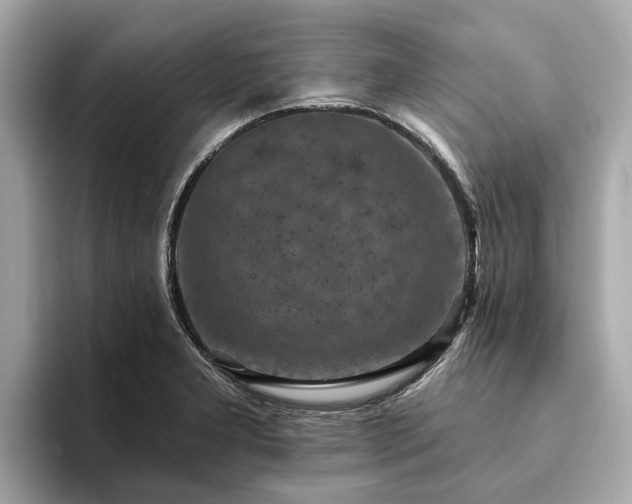X0000094071277200710261239