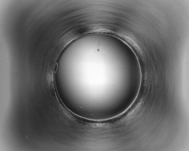 X0000094071281200710261239