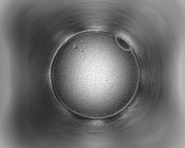 X0000094071283200710261239