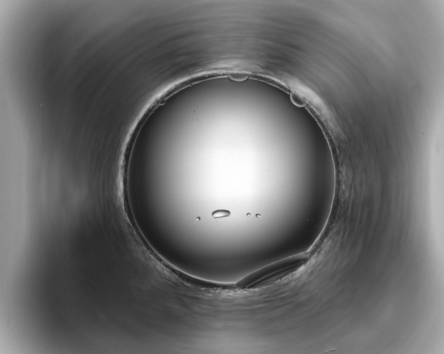 X0000094071288200710261239