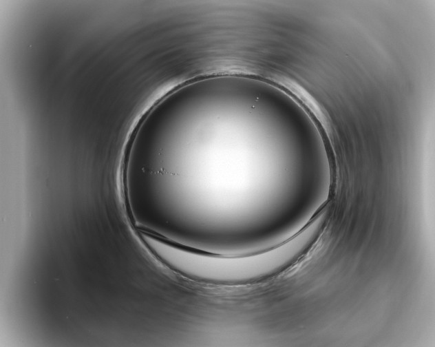 X0000094071293200710261239